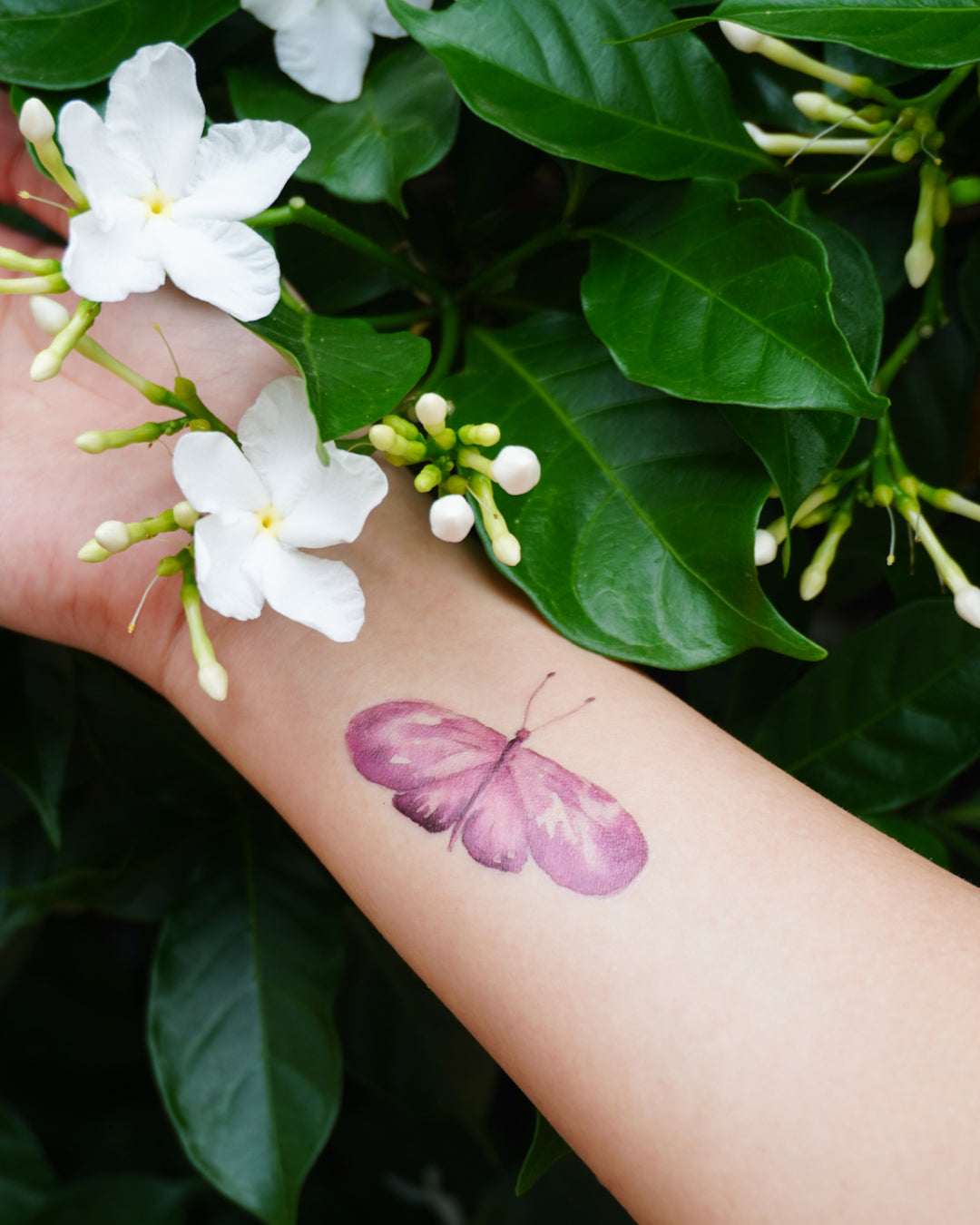 hình xăm dán tạm thời dính dính cánh bướm