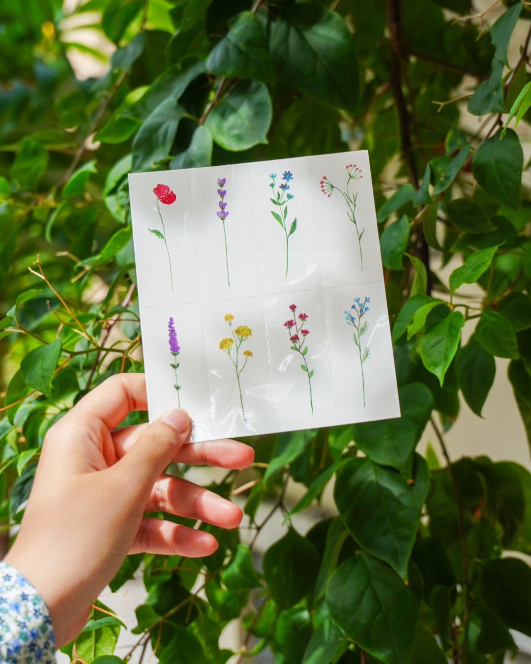 Long Flowers Collection