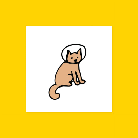 Astro Cat