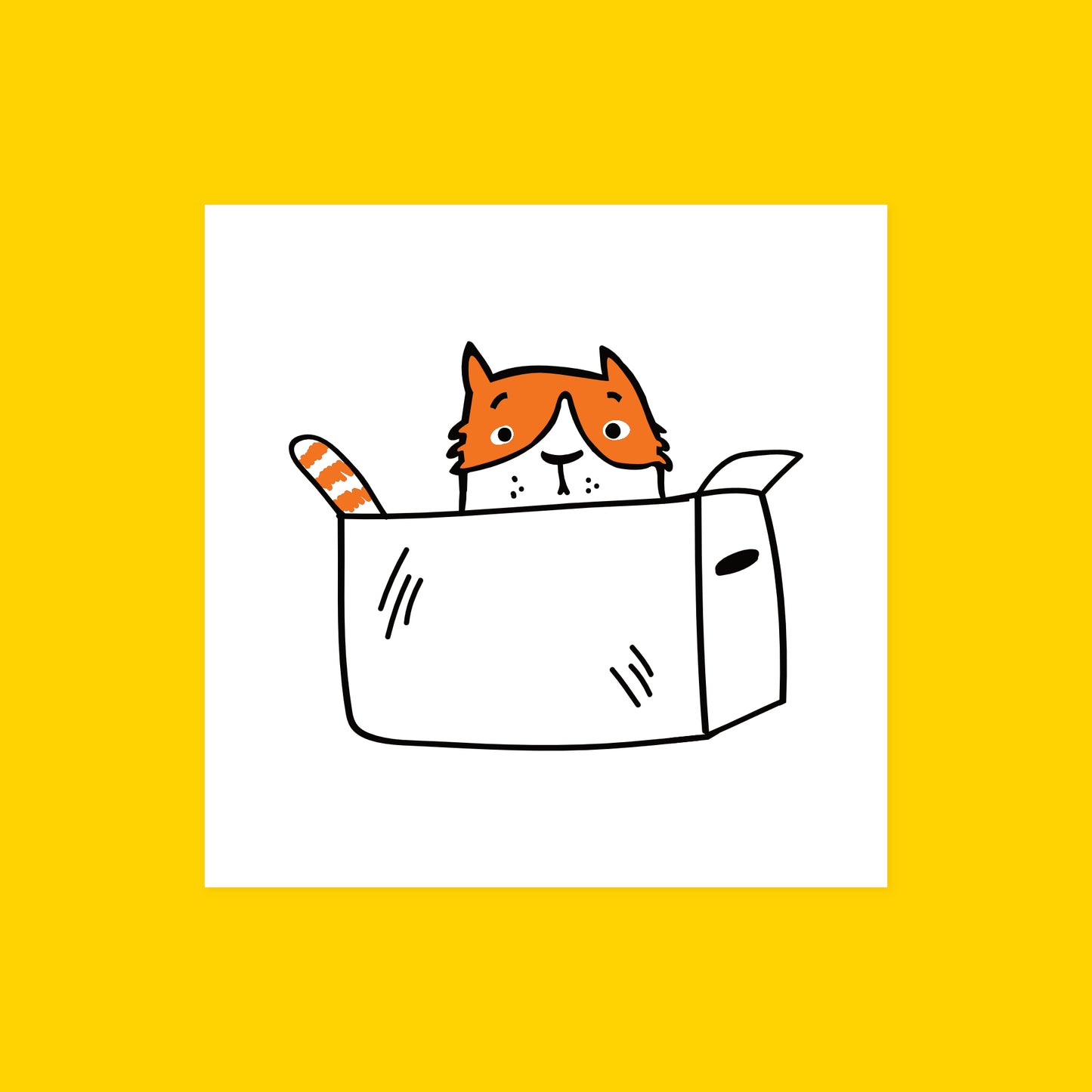 Cat in a Box