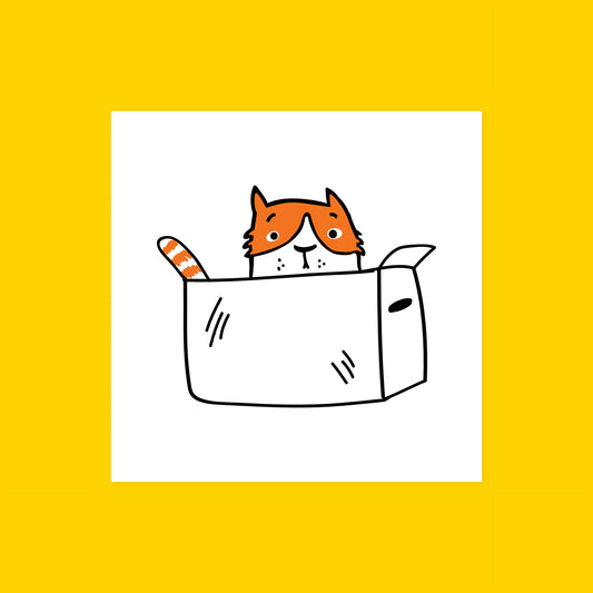 Cat in a Box